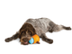 Игрушка для собак West Paw Zogoflex Toppl для лакомства 8 см Салатовый (ZG083GRN) - изображение 6