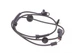 Датчик ABS передній Ford Transit 2.2-3.2TDCi 06- SS20205 DELPHI - зображення 6