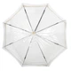 Парасоля Fulton Birdcage-1 L041-005804 Gold (L041-005804) - зображення 2