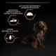 Сухой корм для собак Purina Pro Plan Dog Small&Mini Adult с курицей и рисом 3 кг (7613035114920) - изображение 9