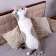 Большая мягкая игрушка-подушка Кот Батон серого цвета с белым 90 см - изображение 4