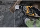 Аккумуляторный перфоратор DeWALT DCH172N SDS-Plus 18 В XR - изображение 5