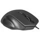 Мышка Defender Datum MB-347, 4кн., 1600dpi, черная - изображение 2