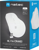 Mysz Natec Crake 2 Wireless/Bluetooth White (NMY-2257) - obraz 8