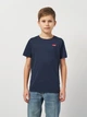 Подростковая футболка для мальчика Levi's Lvb-Batwing Chest Hit 9EA100-C8D 146-152 см (3665115032147) - изображение 1