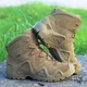 Тактические ботинки Lowa Zephyr GTX MID TF, Coyote OP (EU 40 / UK 6.5) берцы мужские демисезонные - изображение 1
