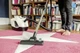 Odkurzacz z filtrem wodnym Karcher DS 6 (4054278975689) - obraz 2