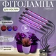 Фитолампа для растений на 4 ветки 20Вт, настольная светодиодная LED лампа для подсветки рассады, комнатных и тепличных растений с таймером, клипсой-зажимом и USB питанием, синий, фиолетовый и красный свет Черная LP-418 - изображение 1