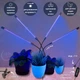 Фитолампа для растений на 4 ветки 20Вт, настольная светодиодная LED лампа для подсветки рассады, комнатных и тепличных растений с таймером, клипсой-зажимом и USB питанием, синий, фиолетовый и красный свет Черная LP-418 - изображение 2