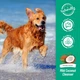 Шампунь TropiClean Імбир та кокос для білої вовни для собак та котів 355 мл - зображення 4