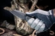 Нож складной Weknife High-Fin XL WE24010-1 - изображение 15