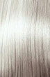 Стойкая безаммиачная крем-краска для волос NOOK The VIRGIN COLOR 12.1 суперосветляющий пепельный, 100 мл - изображение 1