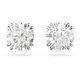 Сережки Swarovski Stilla жіночі - изображение 1