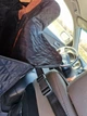 Автогамак, чохол, підстилка, накидка для перевезення собаки в автомобілі GORGOSHI 190x90см Тканина Оксфорд 600PU Захист дверей автомобіля - зображення 8