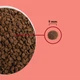 Сухий корм для дорослих котів ACANA Highest Protein Indoor Cat 1.8 кг (a72397) - зображення 4