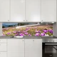 Наклейка на кухонный фартук 60 х 200 см, фотопечать с защитной ламинацией, поле горных розовых цветов(БП-11-pr1245) - изображение 7