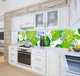 Наклейка на кухонный фартук 60 х 300 см, фотопечать с защитной ламинацией Лайм с цитрусовыми (БП-s_ed052-3)(БП-14-s_ed052) - изображение 7