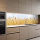 Наклейка на кухонный фартук 60 х 200 см, фотопечать с защитной ламинацией, поле пшеницы и небо(БП-11-pr4503) - изображение 6