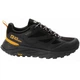 Кросівки TERRAVENTURE TEXAPORE LOW M Jack Wolfskin 4051621_6000 44.5 Чорний (4064993717440) - изображение 1