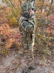 Куртка тактична комбат жіноча мультикам водовідштовхувальна SoftShell Combat жіноча S L - зображення 6