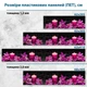 Фото панель универсальная ПЭТ, Самофиксирующаяся, 62 х 205 см (толщина 1.2 мм), цветы со свечами(ПЭТ1-s_fl11704) - изображение 3