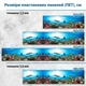 Фото панель универсальная ПЭТ, Самофиксирующаяся, 62 х 410 см (толщина 1.2 мм), подводный мир(ПЭТ4-s_an141) - изображение 2