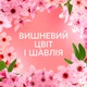Кондиционер для белья Lenor Вишневый цвет и шалфей 32 цикла стирки 675 мл (8700216723657) - изображение 6