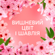 Кондиціонер для білизни Lenor Вишневий цвіт та шавлія 59 циклів прання 1.239 л (8700216723602) - зображення 6