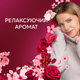 Кондиціонер для білизни Lenor Рубіновий жасмин 59 циклів прання 1.239 л (8700216724616) - зображення 4
