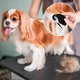 Колтунорез для удаления колтунов у кошек и собак Pet Comb расческа с лезвием для вычесывания шерсти и груминга домашних животных, черный (100540969) - изображение 2