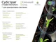Субстрат для декоративно-лиственных растений WormiFarm 20л - изображение 3