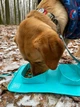 Складана миска WAUDOG Silicone, блакитна, 385х230х50 мм (50802) - зображення 7