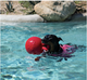 Іграшка Jolly Pets Tug-n-Toss гиря, дуже велика, для собак від 40 кг, фіолетова, 28 см - зображення 4