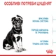 Корм для цуценят великих порід собак ROYAL CANIN MAXI PUPPY 4,0 кг (30060400) - изображение 4