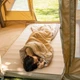 Спальник Naturehike L150 NH20MSD05 L лівий Бежевий (1047-6976023922299) - зображення 2