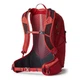 Рюкзак Gregory Biosync-Miko 25 л Red (1053-145276/9973) - изображение 2