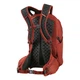 Рюкзак Gregory Kiro 22 л Brick Red (1053-136982/1129) - изображение 2