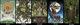 Карты Таро Славянских Легенд - The Slavic Legends Tarot - изображение 7