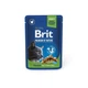 Корм влажний Brit Premium Cat Sterilised Chicken pouch курка для стерилізованих котів 100г арт.100275/506033 - зображення 1