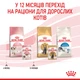 Вологий корм для котят ROYAL CANIN KITTEN LOAF 85 г - зображення 6