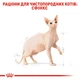 Корм для дорослих котів ROYAL CANIN SPHYNX ADULT 2 кг - зображення 3