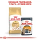 Корм для дорослих котів ROYAL CANIN SPHYNX ADULT 2 кг - зображення 6