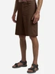 Шорты короткие мужские Jack Wolfskin Desert Shorts M 1508341-2745 48 Коричневые (4064886435208) - изображение 1