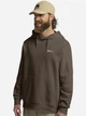 Худи мужское Jack Wolfskin Essential Hoodie M A63872-5719 L Коричневое (4064886454049) - изображение 1