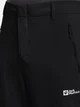 Штаны мужские Jack Wolfskin Hikeout Zip Off Pants M A63925-6000 48 Черные (4064886463904) - изображение 4