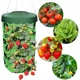 Підвісний горщик для томатів та полуниці, плантатор 35 x 24 x 36 см Garden Line LAR1886 мішок для вирощування овочів і ягід - зображення 3