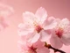 Мерцающий спрей для тела с шимером Rituals The Ritual of Sakura Shimmering Body Spray, 150 мл - изображение 4