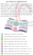 Подушка ортопедическая для сна Beauty Balance от морщин и утренней отечности Memory Foam (сиреневый) (3759) - изображение 2