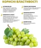 Олія виноградних кісточок - Reclaire Grape Oil 50ml (1335684-31163025) - зображення 3