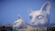 Ключ активации Hidden Paws Mystery для Xbox One/Series S/X - изображение 9